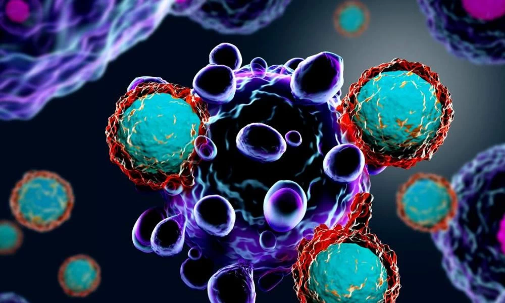 Έρευνα: Ανακαλύφθηκε κύτταρο με σημαντικές αντικαρκινικές ικανότητες